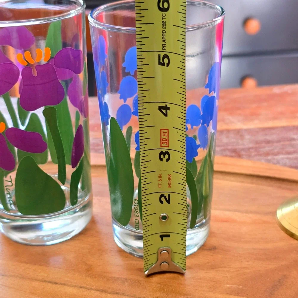 Vintage 1983 Nina Greenhouse Collection Floral Glasses Set of 2 Iris Bluebells
